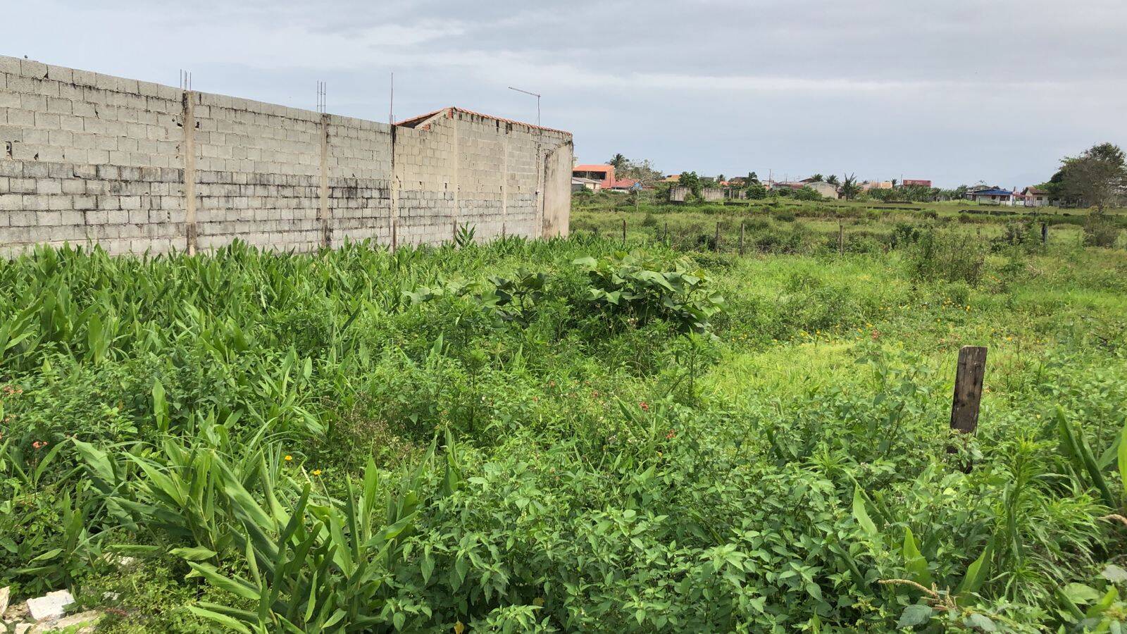 #266 - Área para Venda em Itanhaém - SP