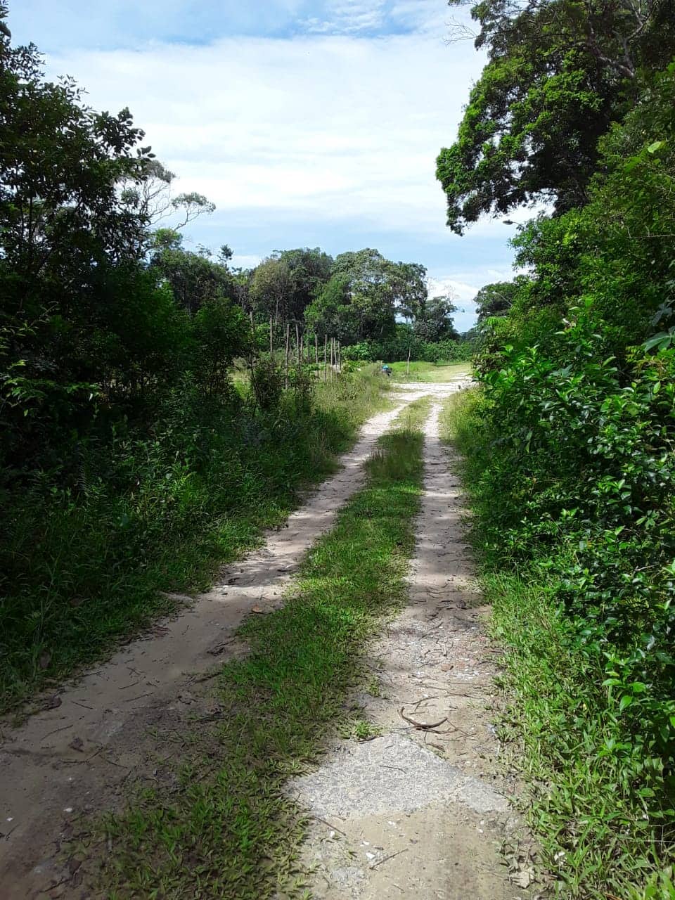 #379 - Área para Venda em Itanhaém - SP