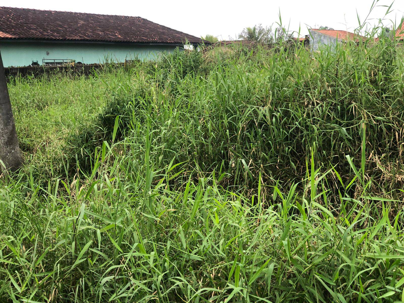 #632 - Área para Venda em Itanhaém - SP