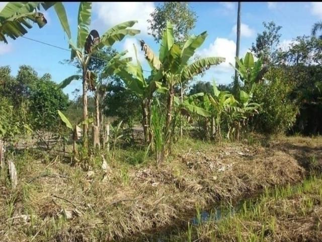 #118 - Área para Venda em Itanhaém - SP