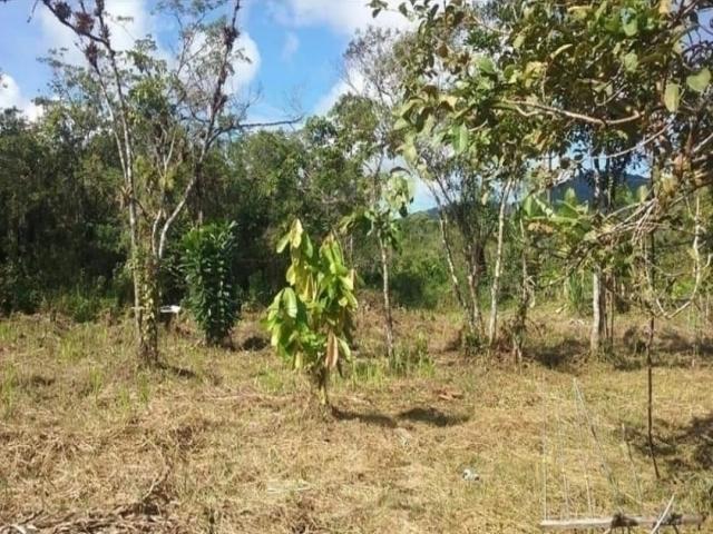 #118 - Área para Venda em Itanhaém - SP