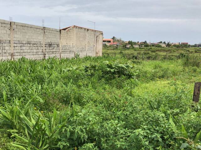 #266 - Área para Venda em Itanhaém - SP