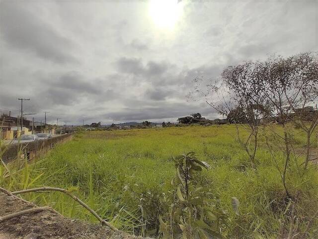 Área para Venda em Itanhaém - 5