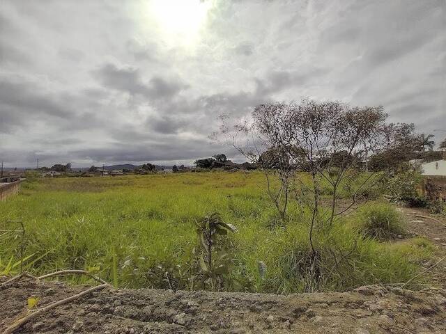 Área para Venda em Itanhaém - 4