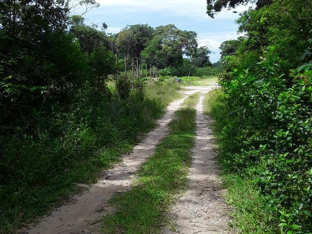 #379 - Área para Venda em Itanhaém - SP