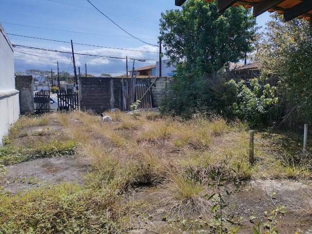 Casa para Venda em Itanhaém - 4