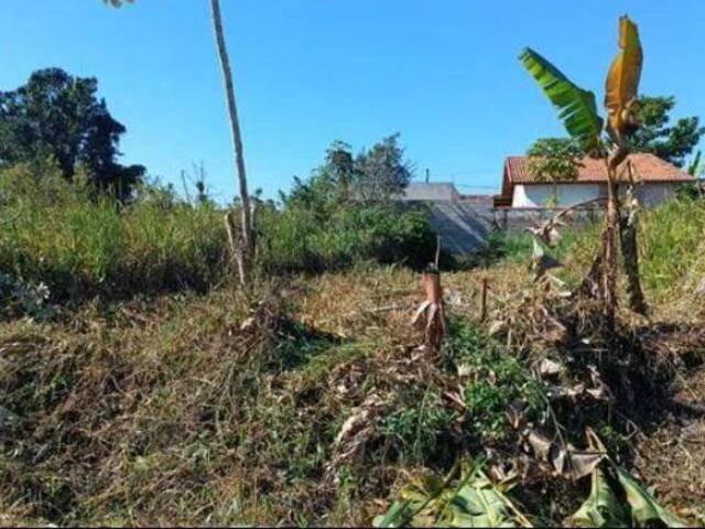 #577 - Terreno para Venda em Itanhaém - SP